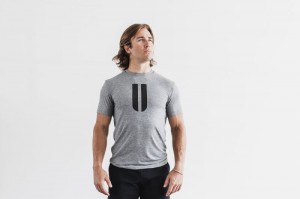 T Shirts Nobull Horns Tee Homme Grise | 74150-MVEW