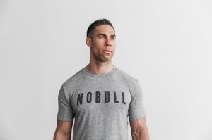 T Shirts Nobull Tee Homme Grise | 90372-ZKVD