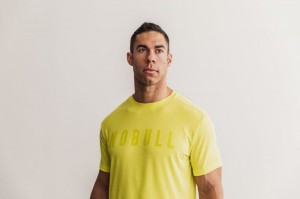 T Shirts Nobull Tee (Neon) Homme Jaune | 84067-ZWLP